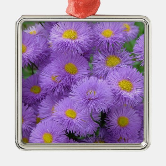Lila Silbernes Ornament (Vorne)