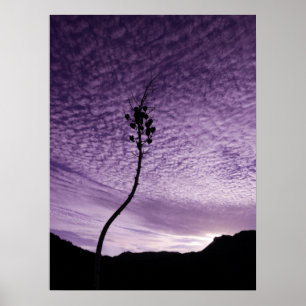 Lila Sky Landschaft Poster