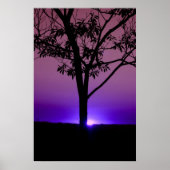 Lila Sky Poster (Vorne)