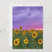 Lila Sky & Sunflowers | Feiern des Lebens Einladung (Rückseite)