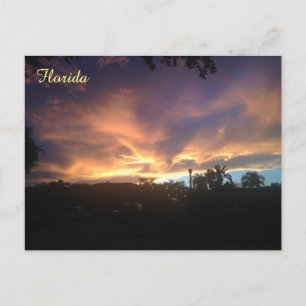 Lila Sky Sunset Postcard Postkarte