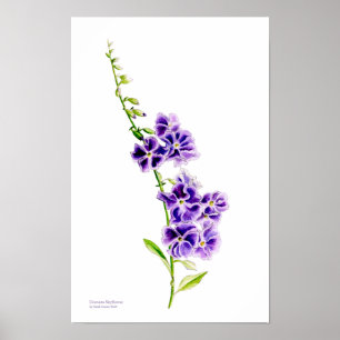 Lila Skyflower-Botanik-Kunst von Sarah Trett Poster