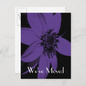 Lila Sonnenblume Neue Adresse Florenz Kunst, Dicht Ankündigungspostkarte (Vorne/Hinten)