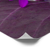 Lila Sonnenblumenposter Poster (Ecke)