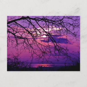 Lila Sonnenuntergang Postkarte