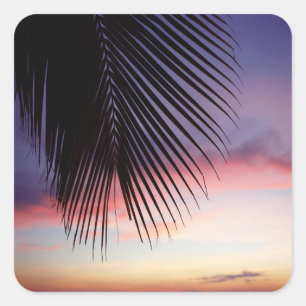 Lila Sonnenuntergang-Strand-tropische Quadratischer Aufkleber