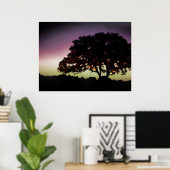 Lila Sonnenuntergang und Silhouette aus Eichenbaum Poster (Heimbüro)