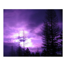 Lila Sonnenuntergang und Silhouetten 20" x 16" Pos