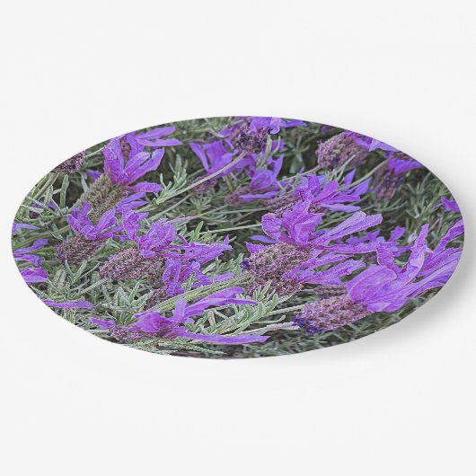 Lila Spanischer Lavendel Blumen Pappteller (Schrägansicht)