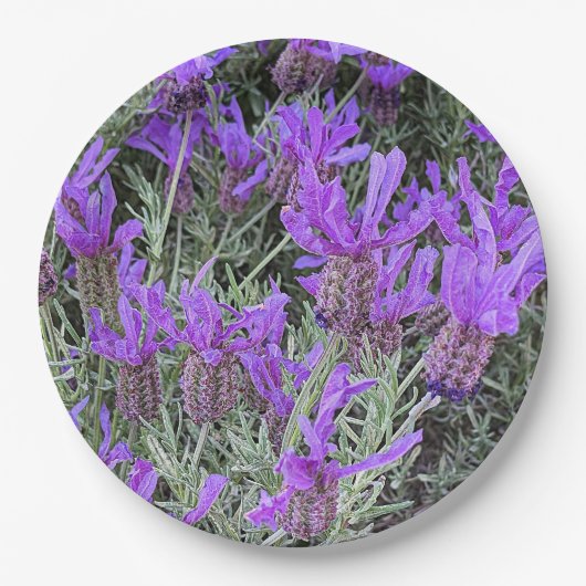 Lila Spanischer Lavendel Blumen Pappteller (Vorderseite)