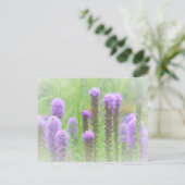 Lila Spikatblume Postkarte (Stehend Vorderseite)