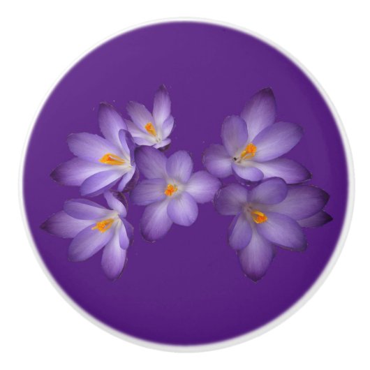 Lila Spring Crocus Blume Keramik Knochen Keramikknauf (Vorderseite)