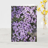 'Lila Springtime' leere Grußkarte Karte (Gelbe Blume)