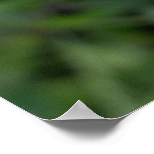 lila Spritze Poster (Ecke)