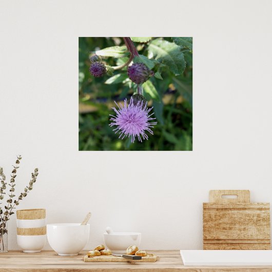 lila Spritze Poster (Küche)