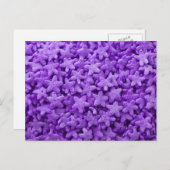 Lila Sterne Getreidefrühstück Muster Postkarte (Vorne/Hinten)