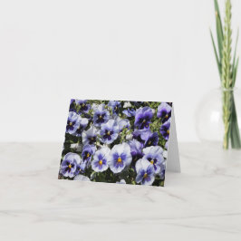 Lila Stiefmütterchen