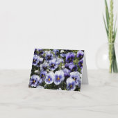 Lila Stiefmütterchen (Vorderseite)