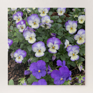 Lila Stiefmütterchen-Blumen-Blumen-Puzzle-Geschenk Puzzle