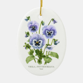 Lila Stiefmütterchen Botanisch Keramik Ornament
