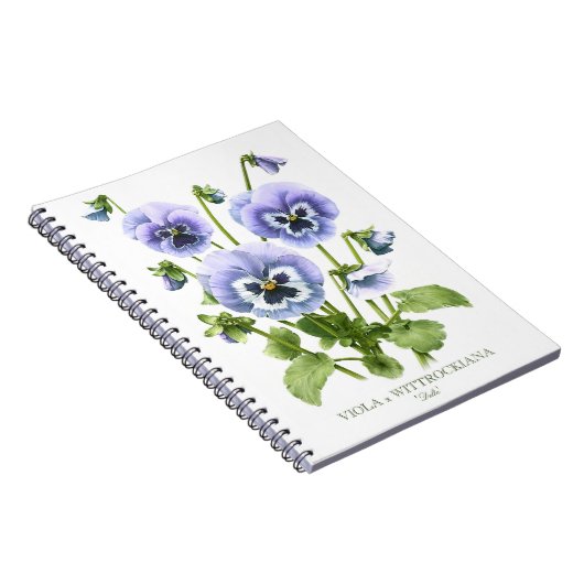 Lila Stiefmütterchen Botanische Kunst Notizblock (Rechte Seite)