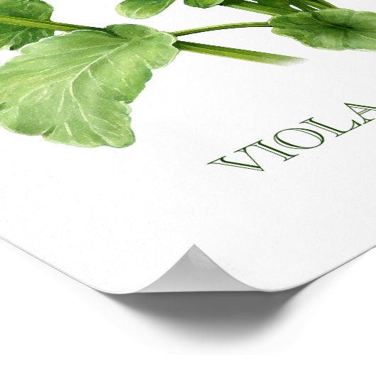 Lila Stiefmütterchen Botanische Kunst Print Poster (Ecke)