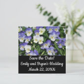 Lila Stiefmütterchen Garten Blumen (Stehend Vorderseite)