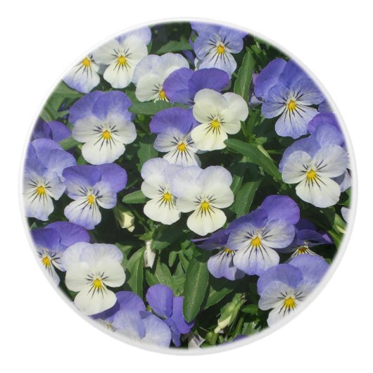 Lila Stiefmütterchen Garten Blumen Keramikknauf (Vorderseite)