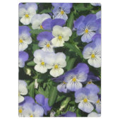 Lila Stiefmütterchen Garten Blumen Klemmbrett (Rückseite)