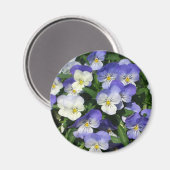 Lila Stiefmütterchen Garten Blumen Magnet (Vorderseite/Rückseite)
