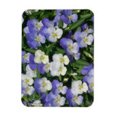Lila Stiefmütterchen Garten Blumen Magnet (Vertikal)