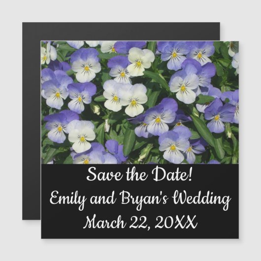 Lila Stiefmütterchen Garten Blumen Magnetkarte (Vorne/Hinten)