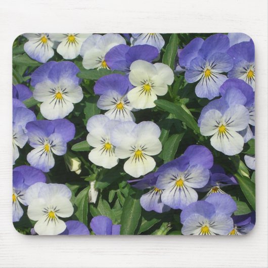Lila Stiefmütterchen Garten Blumen Mousepad (Vorne)