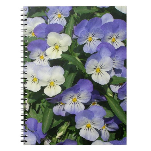 Lila Stiefmütterchen Garten Blumen Notizblock (Vorderseite)