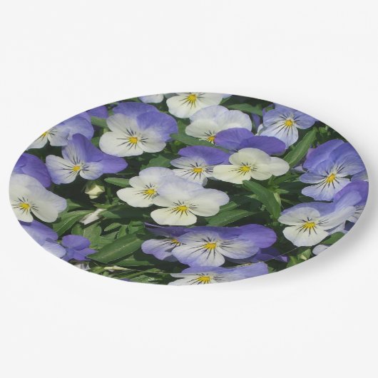 Lila Stiefmütterchen Garten Blumen Pappteller (Schrägansicht)