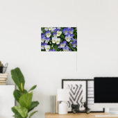Lila Stiefmütterchen Garten Blumen Poster (Heimbüro)
