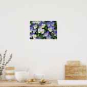 Lila Stiefmütterchen Garten Blumen Poster (Küche)
