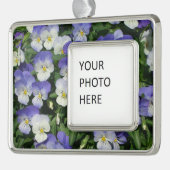 Lila Stiefmütterchen Garten Blumen Rahmen-Ornament Silber (Links)