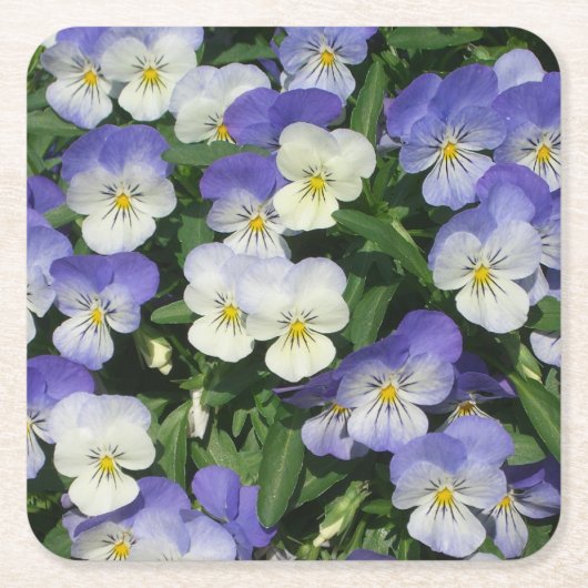 Lila Stiefmütterchen Garten Blumen Rechteckiger Pappuntersetzer (Vorderseite)