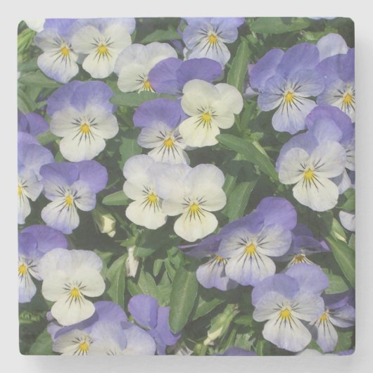 Lila Stiefmütterchen Garten Blumen Steinuntersetzer (Vorderseite)