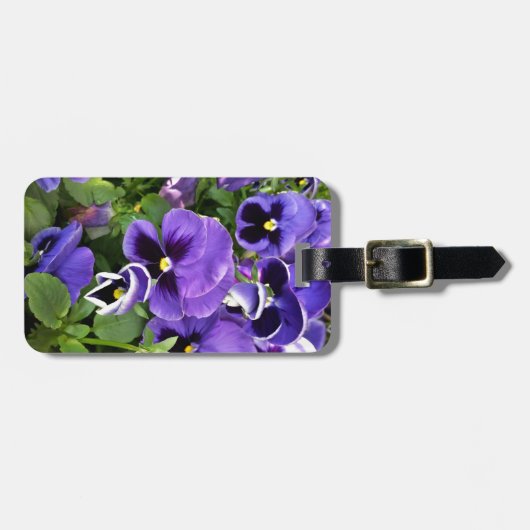 lila Stiefmütterchen Gepäckanhänger (Vorderseite horizontal)