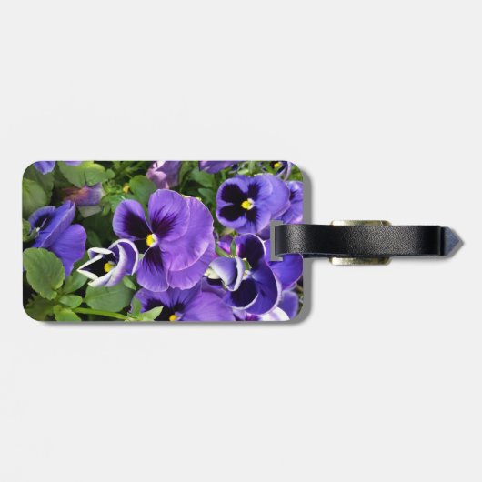 lila Stiefmütterchen Gepäckanhänger (Rückseite horizontal)