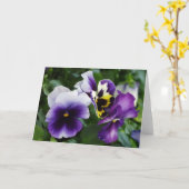 Lila Stiefmütterchen Grußkarte Karte (Gelbe Blume)
