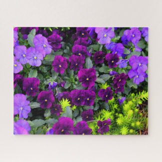 Lila Stiefmütterchen Jigsaw Puzzle