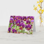Lila Stiefmütterchen Karte (Gelbe Blume)