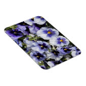 Lila Stiefmütterchen Magnet (Rechte Seite)