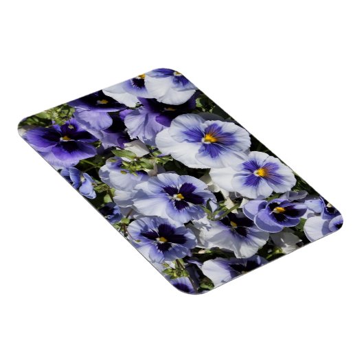 Lila Stiefmütterchen Magnet (Rechte Seite)