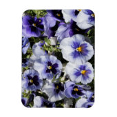 Lila Stiefmütterchen Magnet (Vertikal)