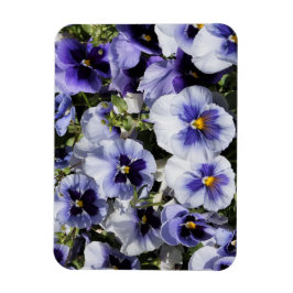 Lila Stiefmütterchen Magnet