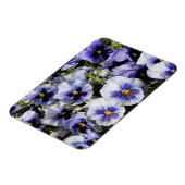 Lila Stiefmütterchen Magnet (Linke Seite)